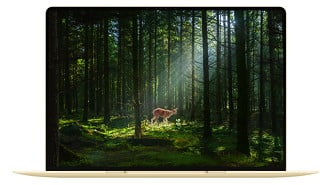 MateBook Pro S