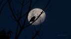 Qual a fase da Lua hoje: sexta-feira, 18 de setembro de 2026 Qual a fase da Lua hoje: sexta-feira, 18 de setembro de 2026
