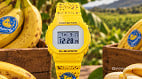 Casio lança novo G-Shock com visual de banana e embalagem inusitada Casio lança novo G-Shock com visual de banana e embalagem inusitada