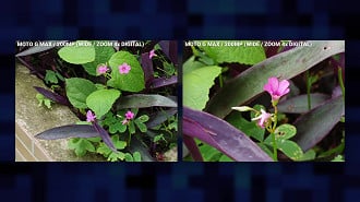 Fotos com zoom 4x de perto: o desfoque de fundo ficou show