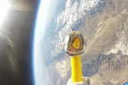Nasa lança frango de plástico no espaço