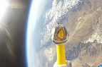 Nasa lança frango de plástico no espaço Nasa lança frango de plástico no espaço