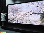 Panasonic lança TV de 145 polegadas Panasonic lança TV de 145 polegadas