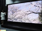 Panasonic lança TV de 145 polegadas
