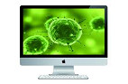 Vírus que infectou computadores da Apple rendeu US$ 10 mil por dia Vírus que infectou computadores da Apple rendeu US$ 10 mil por dia