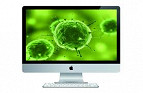 Vírus que infectou computadores da Apple rendeu US$ 10 mil por dia