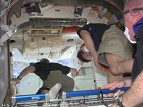 Para astronautas da ISS a cápsula Dragon tem cheiro de carro novo Para astronautas da ISS a cápsula Dragon tem cheiro de carro novo