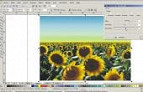 Editando imagens no CorelDraw Editando imagens no CorelDraw