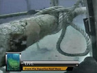 Nasa realiza missão no fundo do Oceano Atlântico Nasa realiza missão no fundo do Oceano Atlântico