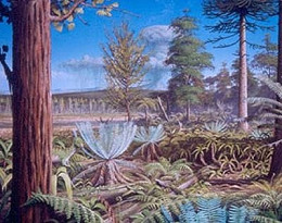 Para pesquisadores a região da Antártida já possuiu árvores do tipo palmeira