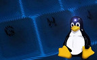 Comandos do Linux para Redes 