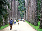 Agora, Google Street View conta com imagens do Jardim Botânico e Lagoa Rodrigo de Freitas