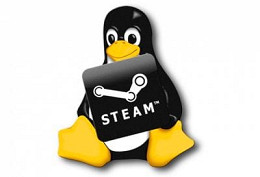 Linux receberá versão oficial do Steam Linux receberá versão oficial do Steam