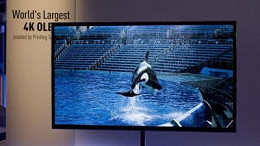 CES 2013: Panasonic anuncia TV de OLED de 56 polegadas com 4k de resolução