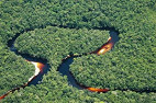 Florestas brasileiras vão ser mapeadas até 2016 Florestas brasileiras vão ser mapeadas até 2016