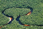 Florestas brasileiras vão ser mapeadas até 2016