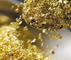 Bactéria é capaz de produzir ouro em poucos segundos
