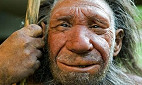 Neandertais desapareceram antes do que se imaginava Neandertais desapareceram antes do que se imaginava