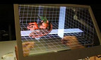 Computador com interface 3D é apresentado por aluno do MIT