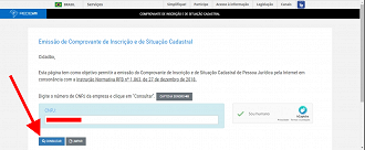 Passo 2 de: Como consultar a situação cadastral de um CNPJ