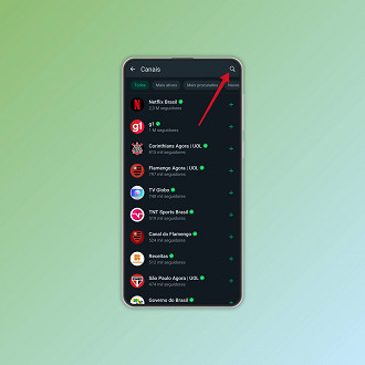 Passo 3 de: Como encontrar e seguir Canais no WhatsApp