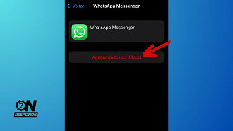 Passo 5 de: Como apagar um backup local do WhatsApp no iOS?