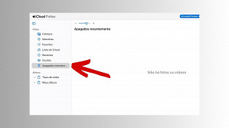 Passo 3 de: Como recuperar fotos apagadas do iCloud?