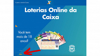 Passo 1 de: Como apostar na Mega da Virada no site?