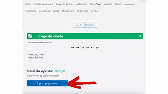 Passo 7 de: Como apostar na Mega da Virada no site?