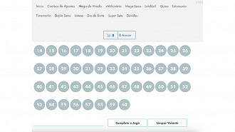 Passo 5 de: Como apostar na Mega da Virada no site?