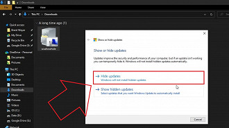 Passo 3 de: Como impedir que o Windows Update tente instalar uma atualização que está falhando?