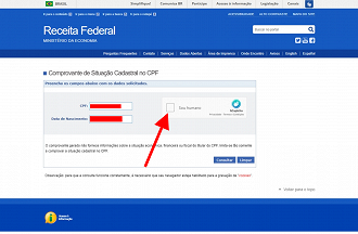 Passo 3 de: Como consultar CPF na Receita Federal