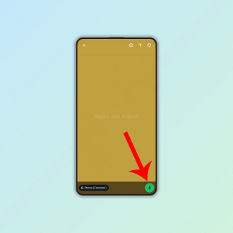 Passo 3 de: Como adicionar áudio no status do WhatsApp