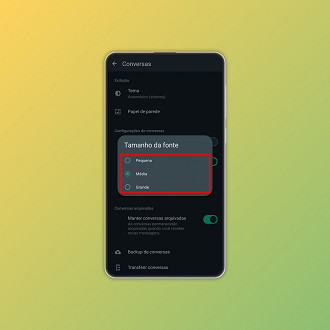 Passo 4 de: Como aumentar a fonte do WhatsApp no Android